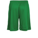 Green - Back