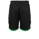 Black/Green - Back