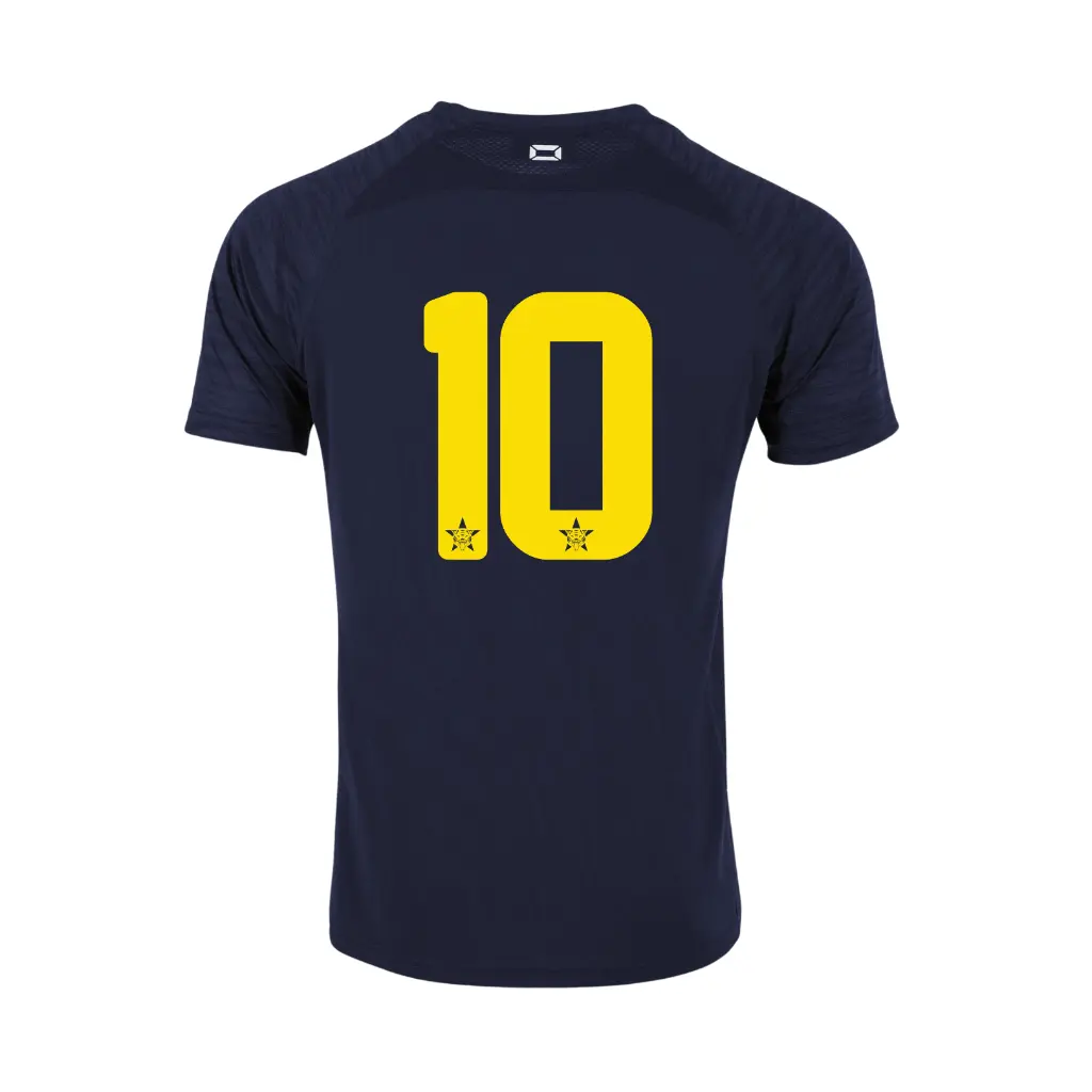 Away Shirt Back.webp