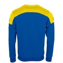 Royal/Yellow - Back