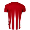 Red/White - Back
