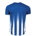Royal/White - Back