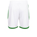White/Green - Back