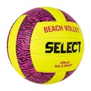 Champion Beach Volleyball