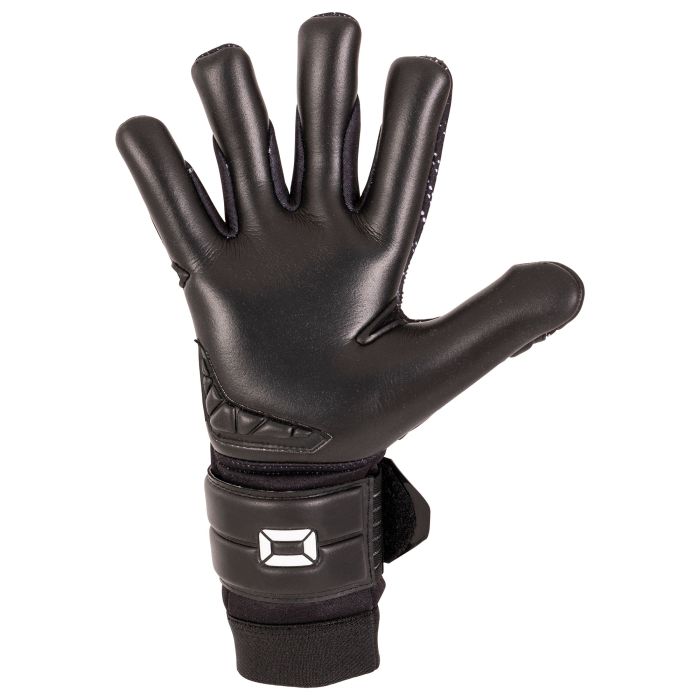 Hardground RFH VI Goalkeeper Gloves