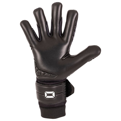 Hardground RFH VI Goalkeeper Gloves