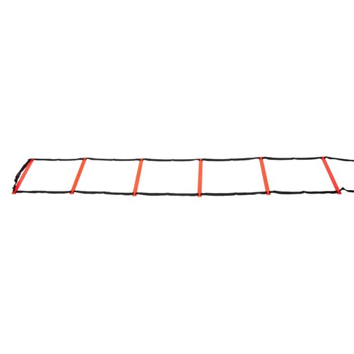 Workout Ladder